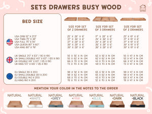 Wooden Montessori Climbing Bed with Drawers (Model 1)