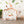 Busywood Monkey Set