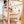 Montessori Jungle Climber Bed - Twin Loft Bed - Toddler Bed