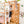 Montessori Jungle Climber Bed - Twin Loft Bed - Toddler Bed
