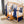 Toddler Montessori Climbing Bed with Double Pet Space Underneath (BusyPet Duo Bed)