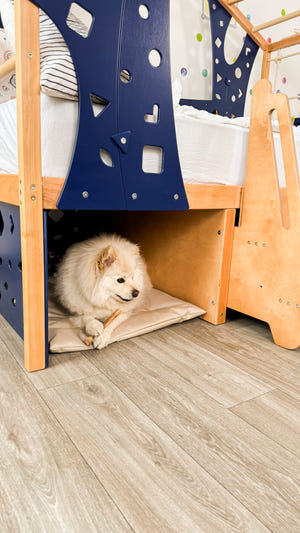 Toddler Montessori Climbing Bed with Double Pet Space Underneath (BusyPet Duo Bed)