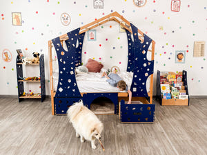 Wooden Kids Climbing Bed with Dog Bed Underneath (BusyPet Buddy Bed)