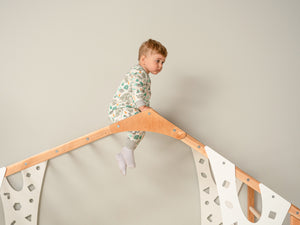 Montessori Jungle Gym Bed Monkey